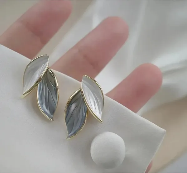 Silver_Stainless_Steel_Alloy_Earrings_For_Women