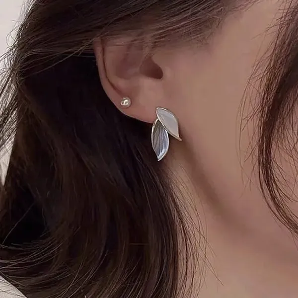 Silver_Stainless_Steel_Alloy_Earrings_For_Women