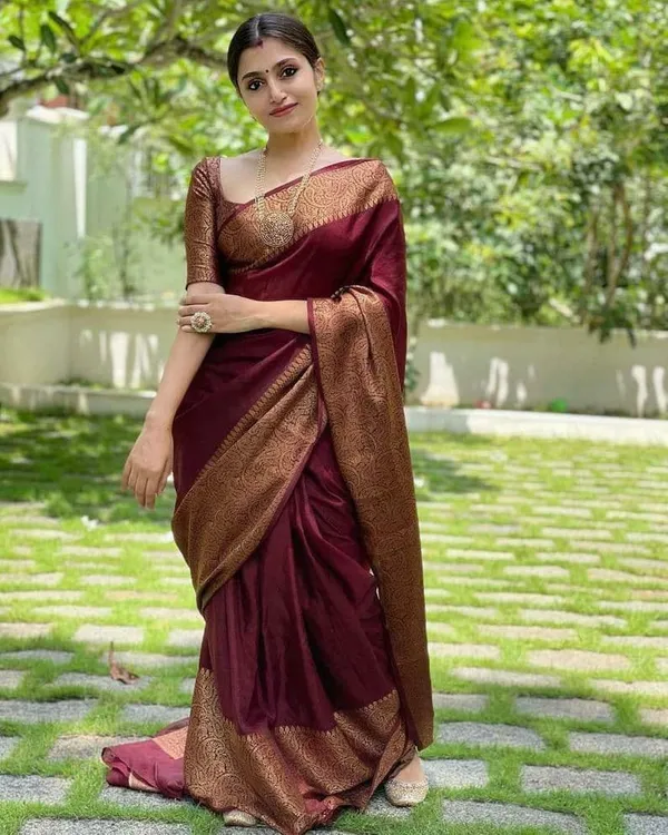 Marziyaa_Embellished_Woven_Polka_Print_Dharmavaram_Jacquard_Saree_(Maroon)