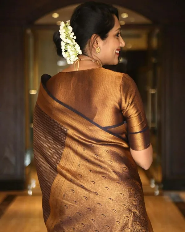 Marziyaa_Woven_Banarasi_Jacquard_Saree_(Brown)
