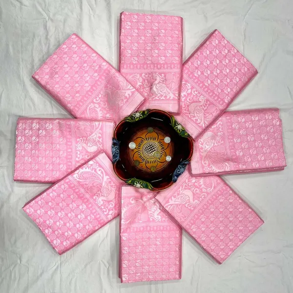 Marziyaa_Paisley_Banarasi_Jacquard_Saree_(Pink)