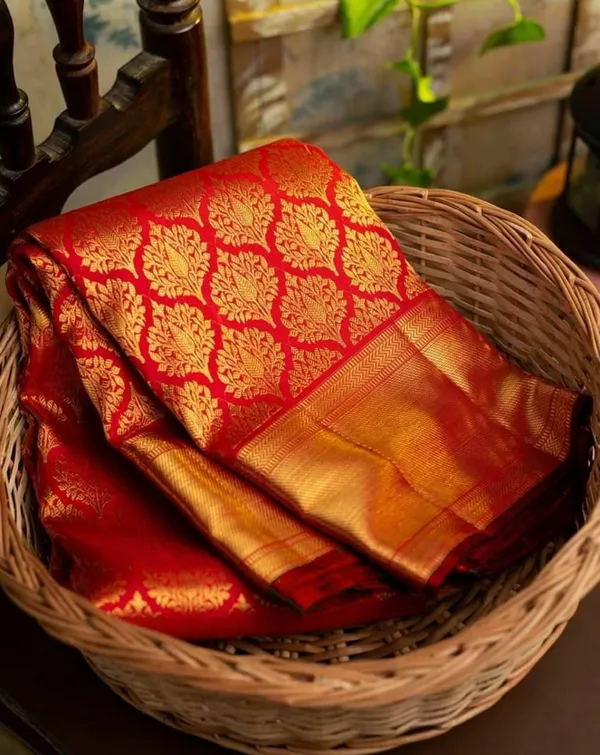 Marziyaa_Paisley_Banarasi_Jacquard_Saree_(Red)