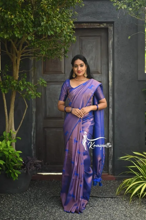 Marziyaa_Printed_Banarasi_Silk_Blend_Saree_(Blue)