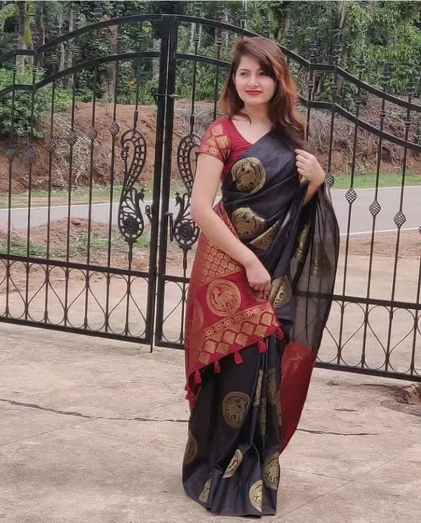 Marziyaa_Printed_Banarasi_Jacquard_Saree_(Black)