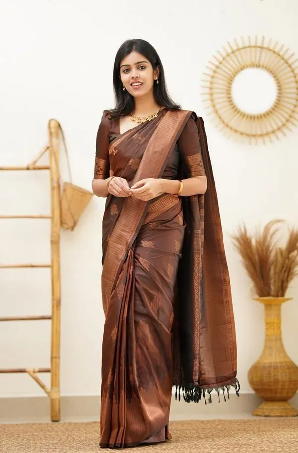 Marziyaa_Striped_Printed_Banarasi_Jacquard_Saree_(Brown)
