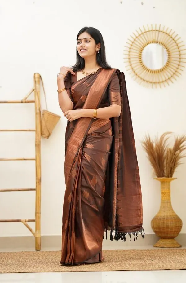 Marziyaa_Striped_Printed_Banarasi_Jacquard_Saree_(Brown)