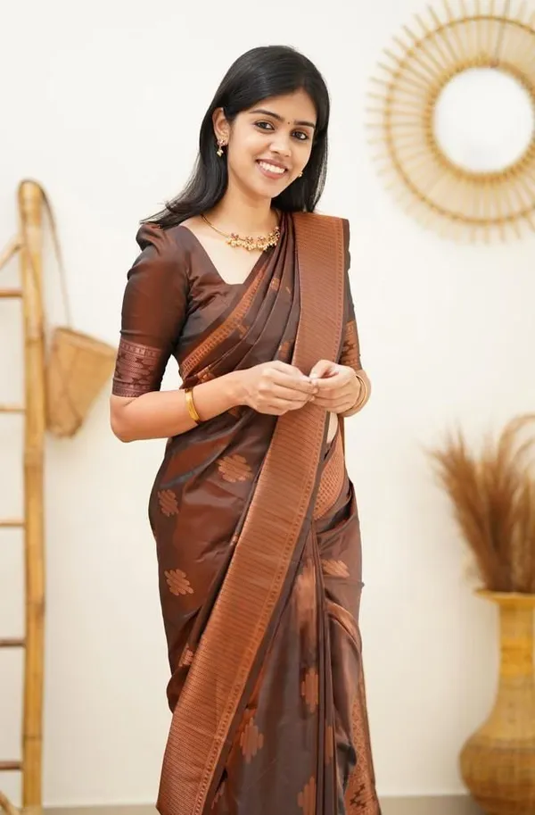 Marziyaa_Striped_Printed_Banarasi_Jacquard_Saree_(Brown)
