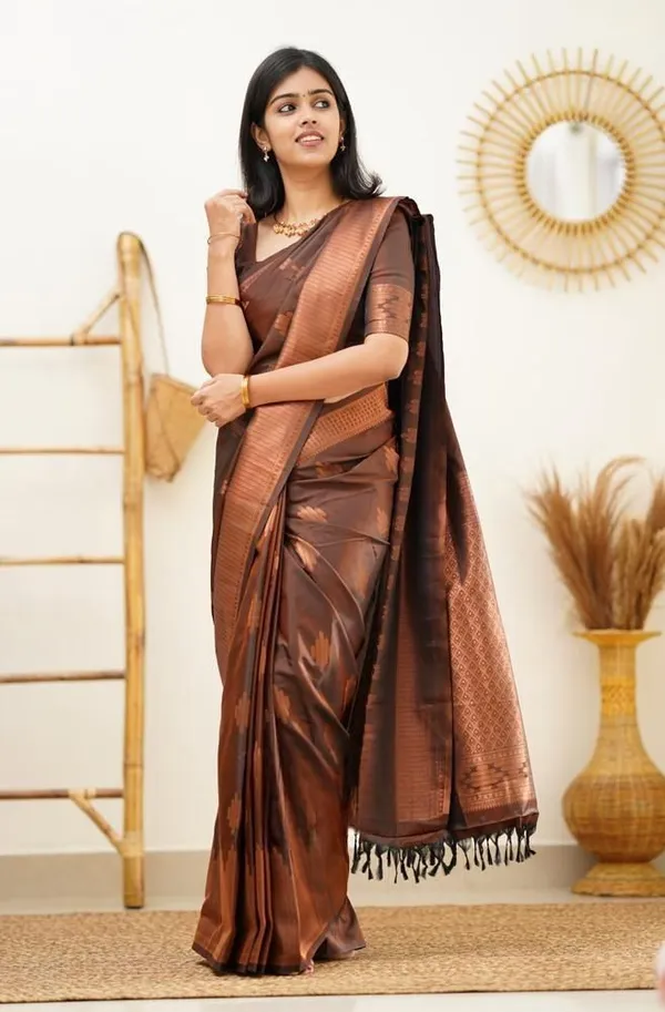 Marziyaa_Striped_Printed_Banarasi_Jacquard_Saree_(Brown)