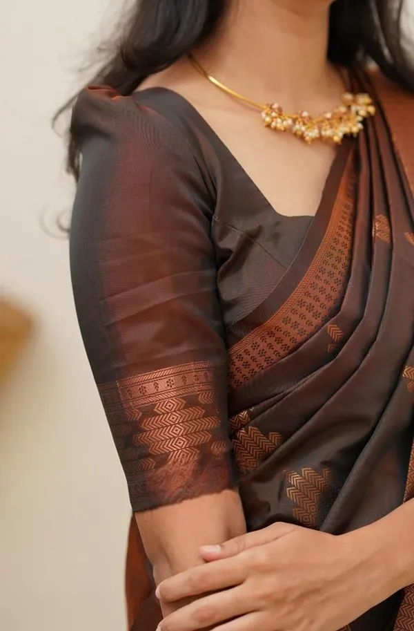 Marziyaa_Striped_Printed_Banarasi_Jacquard_Saree_(Brown)