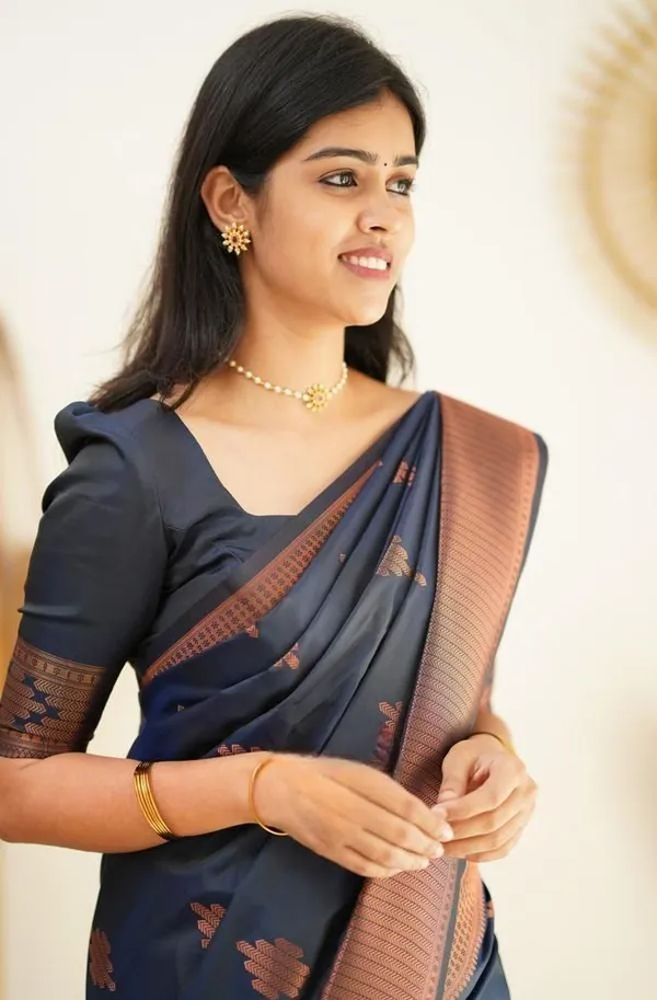 Marziyaa_Striped_Printed_Banarasi_Jacquard_Saree_(Dark_Blue)