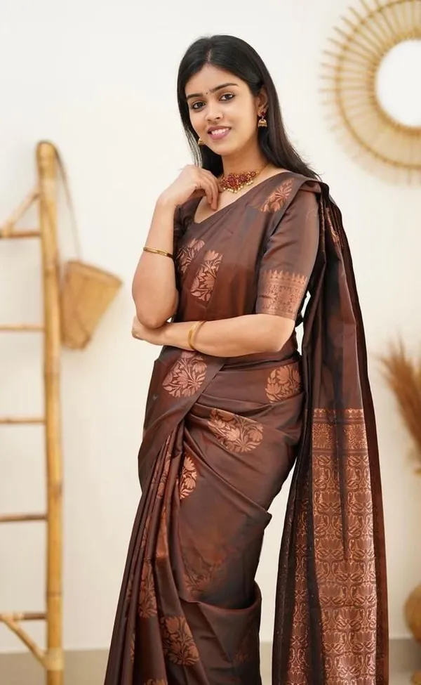 Marziyaa_Checkered_Banarasi_Jacquard_Saree_(Brown)