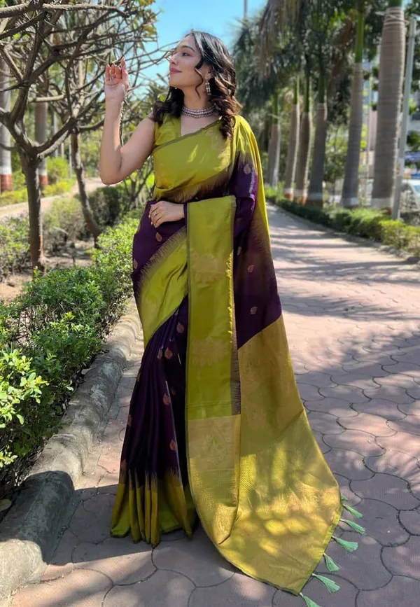 Marziyaa_Floral_Print_Banarasi_Jacquard_Saree_(Purple_Green)