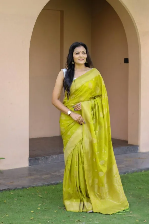 Marziyaa_Woven_Banarasi_Jacquard_Saree_(Light_Green)