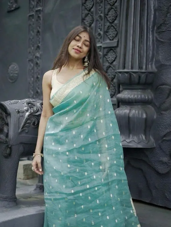 Marziyaa_Printed_Woven_Self_Design_Banarasi_Cotton_Silk_Saree_(Light_Blue)