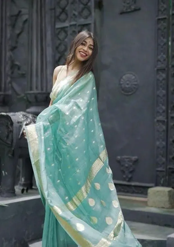 Marziyaa_Printed_Woven_Self_Design_Banarasi_Cotton_Silk_Saree_(Light_Blue)