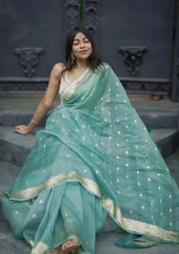 Marziyaa_Printed_Woven_Self_Design_Banarasi_Cotton_Silk_Saree_(Light_Blue)