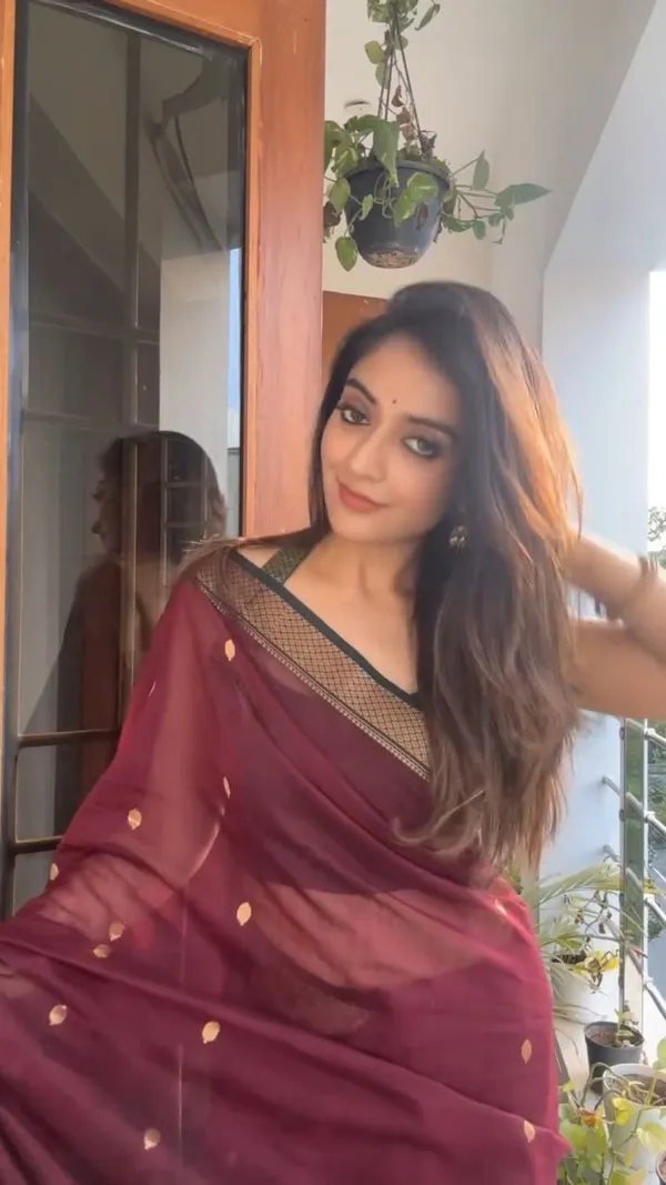Marziyaa_Woven_Plain_Paithani_Jacquard_Saree_(Maroon)