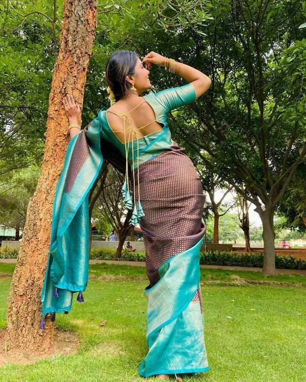 Marziyaa_Self_Design_Banarasi_Jacquard_Saree_(Light_Blue)