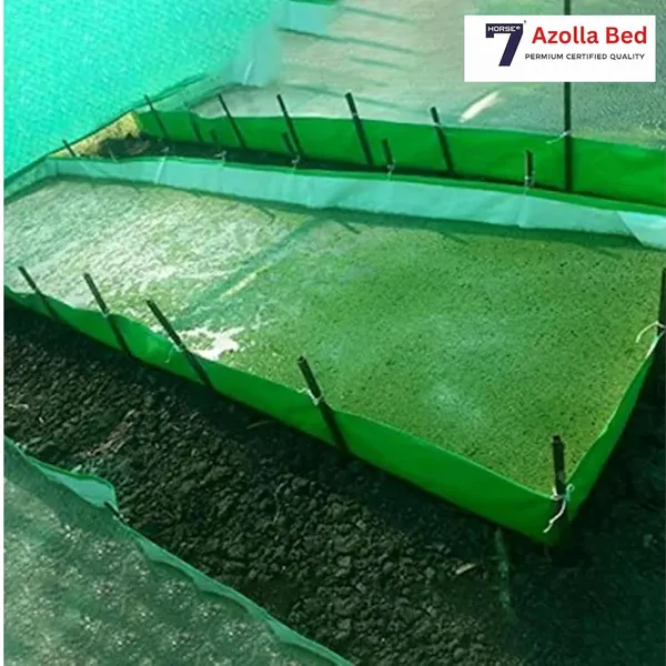 Seven_Horses_HDPE_Azolla_Growing_Bed_12x4x1,_Argiculture_Grow_Bag