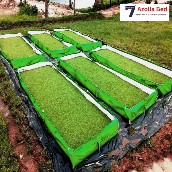 Seven_Horses_HDPE_Azolla_Growing_Bed_12x4x1,_Argiculture_Grow_Bag