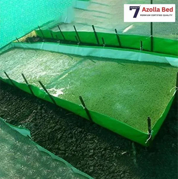 Hdpe_Azolla_Growing_Bed_8X4X1_Grow_Bag