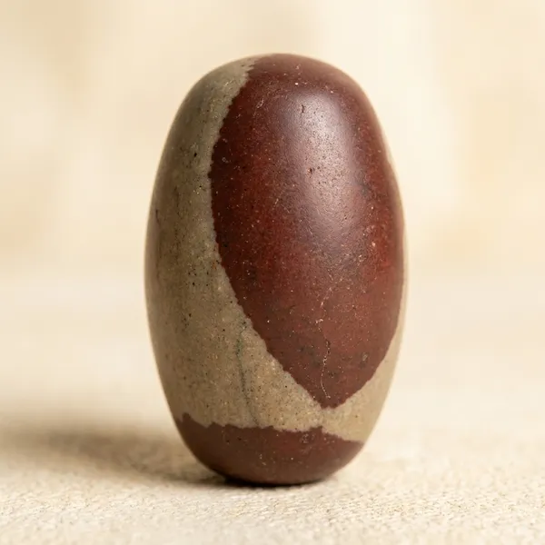 Narmada_Stone_Spiritual_Multicolor_Narmadeshwar_Shivling_Idol