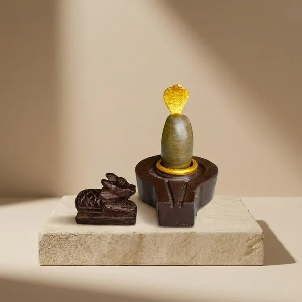 Narmada_Stone_Pooja_Multicolor_Narmadeshwar_Shivling