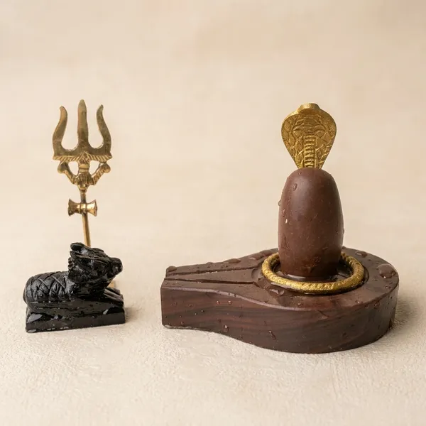 Narmada_Stone_Pooja_Multicolor_Narmadeshwar_Shivling