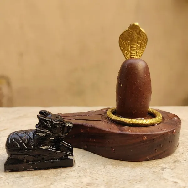 Narmada_Stone_Pooja_Multicolor_Narmadeshwar_Shivling