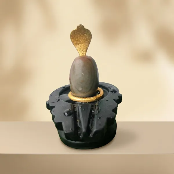 Narmada_Stone_Spiritual_Multicolor_Narmadeshwar_Shivling_Idol
