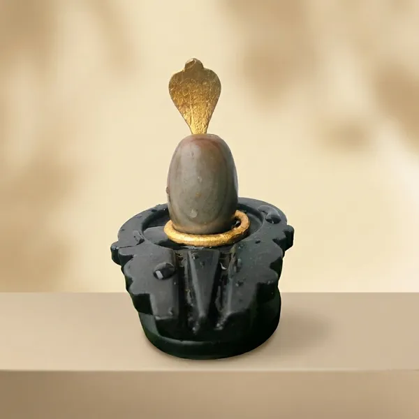 Narmada_Stone_Spiritual_Multicolor_Narmadeshwar_Shivling_Idol