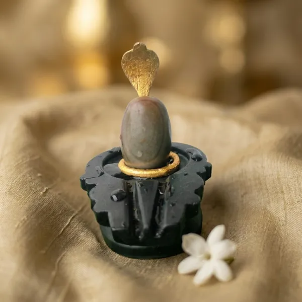 Narmada_Stone_Spiritual_Multicolor_Narmadeshwar_Shivling_Idol
