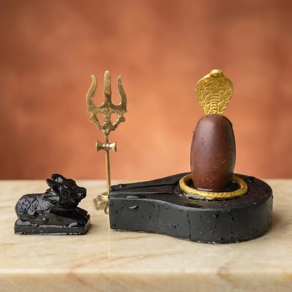 Narmada_Stone_Spiritual_Multicolor_Narmadeshwar_Shivling_Idol