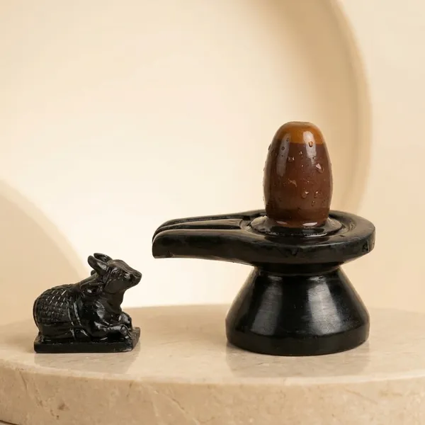 Narmada_Stone_Spiritual_Multicolor_Narmadeshwar_Shivling_Idol