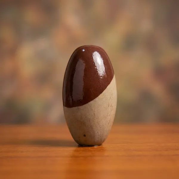 Narmada_Stone_Spiritual_Multicolor_Narmadeshwar_Shivling_Idol