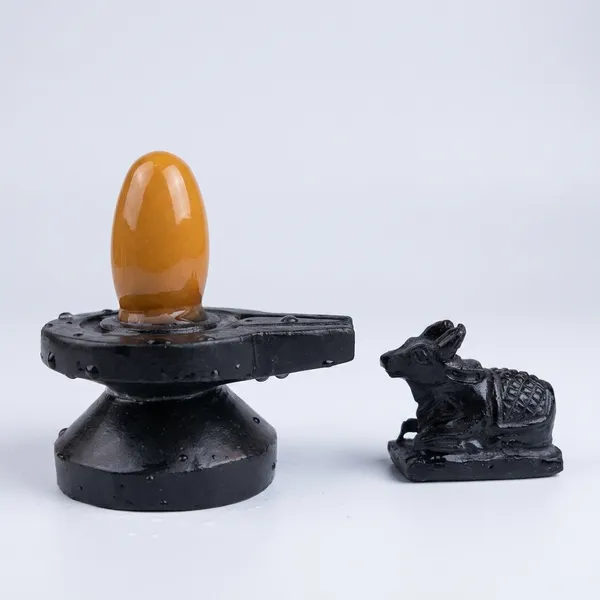 Narmada_Stone_Spiritual_Multicolor_Ardhanareshwar_Shivling_Set