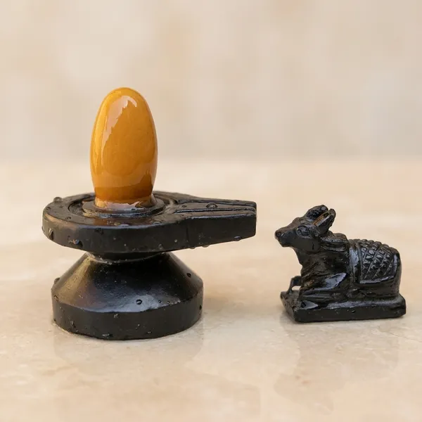 Narmada_Stone_Spiritual_Multicolor_Ardhanareshwar_Shivling_Set
