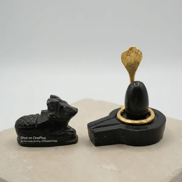 Narmada_Stone_Spiritual_Narmadeshwar_Shivling_Jaladhari_Showpiece