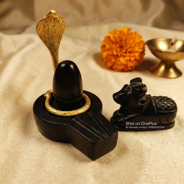 Narmada_Stone_Spiritual_Narmadeshwar_Shivling_Jaladhari_Showpiece