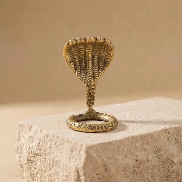 Narmada_Stone_Spiritual_Golden_Panch_Mukhi_Shivling_Accessory