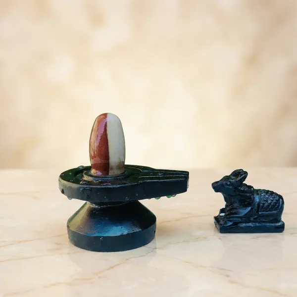 Narmada_Stone_Spiritual_Narmadeshwar_Shivling_Showpiece
