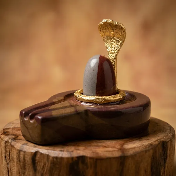 Narmada_Stone_Pooja_Multicolor_Narmadeshwar_Shivling_Idol