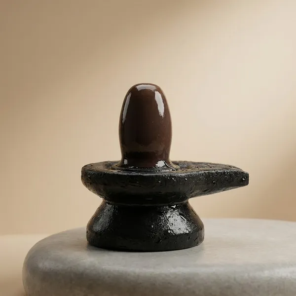 Narmada_Stone_Spiritual_Black_Narmadeshwar_Shivling_Idol