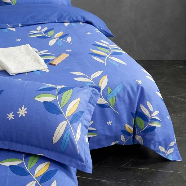 Multicolor_Cotton_Bedsheet_With_Pillow_Cover_For_Home