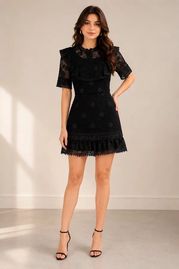 Black_Lace_Overlay_Short_Sleeve_Dress_for_Women