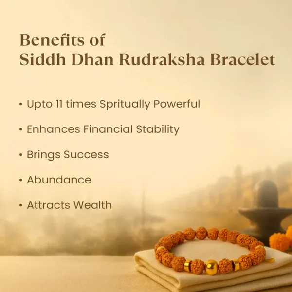 Siddh_Dhan_Rudraksha_Golden_Bead_Prosperity_Bracelet_For_Unisex