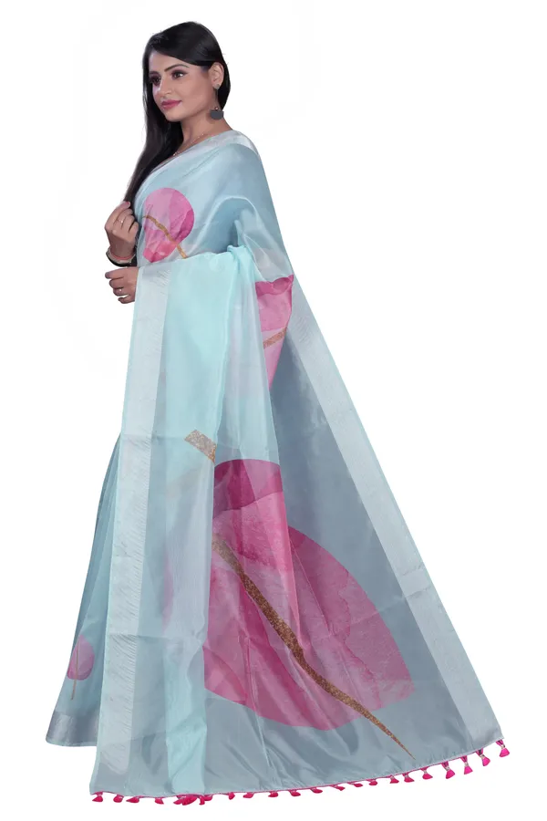 Blue_Organza_Silk_Saree_With_Silver_Zari_Border_And_Banglori_Blouse_Piece