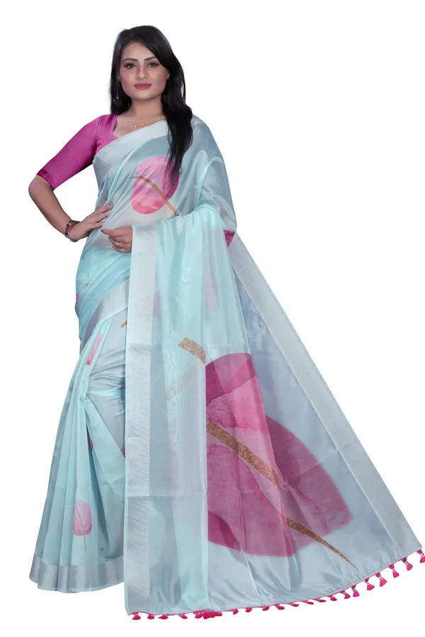 Blue_Organza_Silk_Saree_With_Silver_Zari_Border_And_Banglori_Blouse_Piece