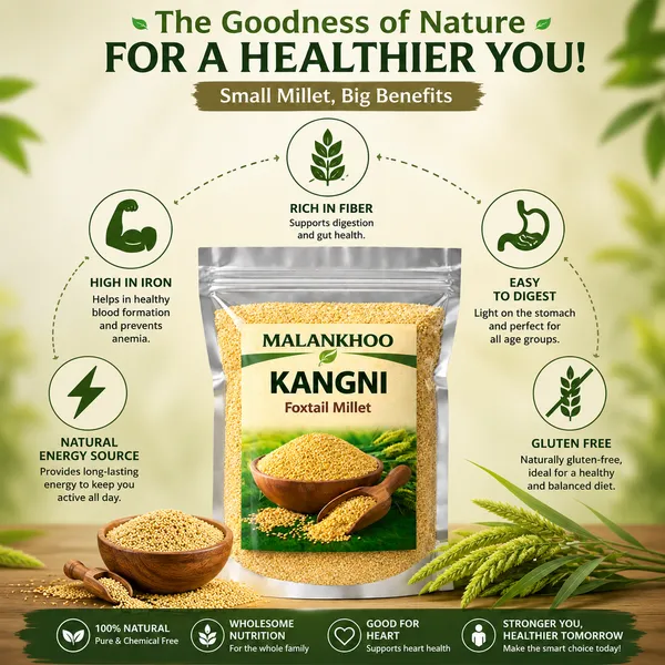 Malankhoo_Foxtail_Millet_Kangni_500_Gm