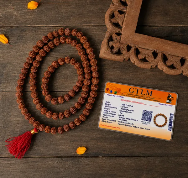108_Beads_Rudraksha_Mala_for_Men_&_Women_|_Original_Natural_Rudraksha_Japa_Mala_|_Meditation,_Mantra_Chanting_&_Spiritual_Healing_Necklace_|_Positive_Energy,_Protection_&_Inner_Peace_Prayer_Mala